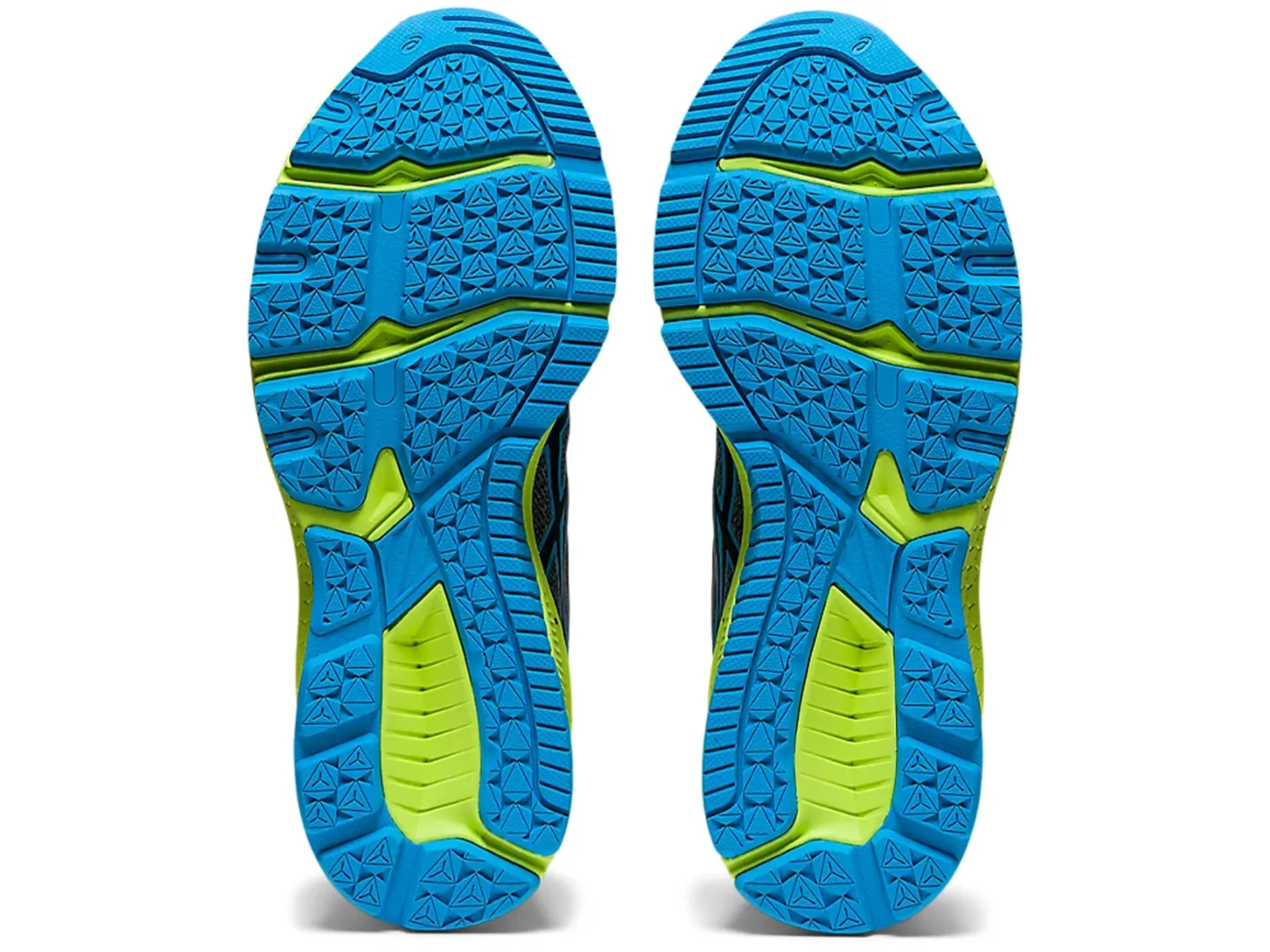 Asics Junior GT-1000 10 GS