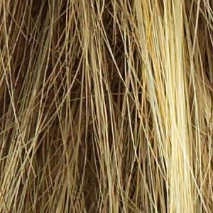 Center Stage Wig by Raquel Welch | Synthetic (100% Hand-Knotted Lace Front Mono Top)