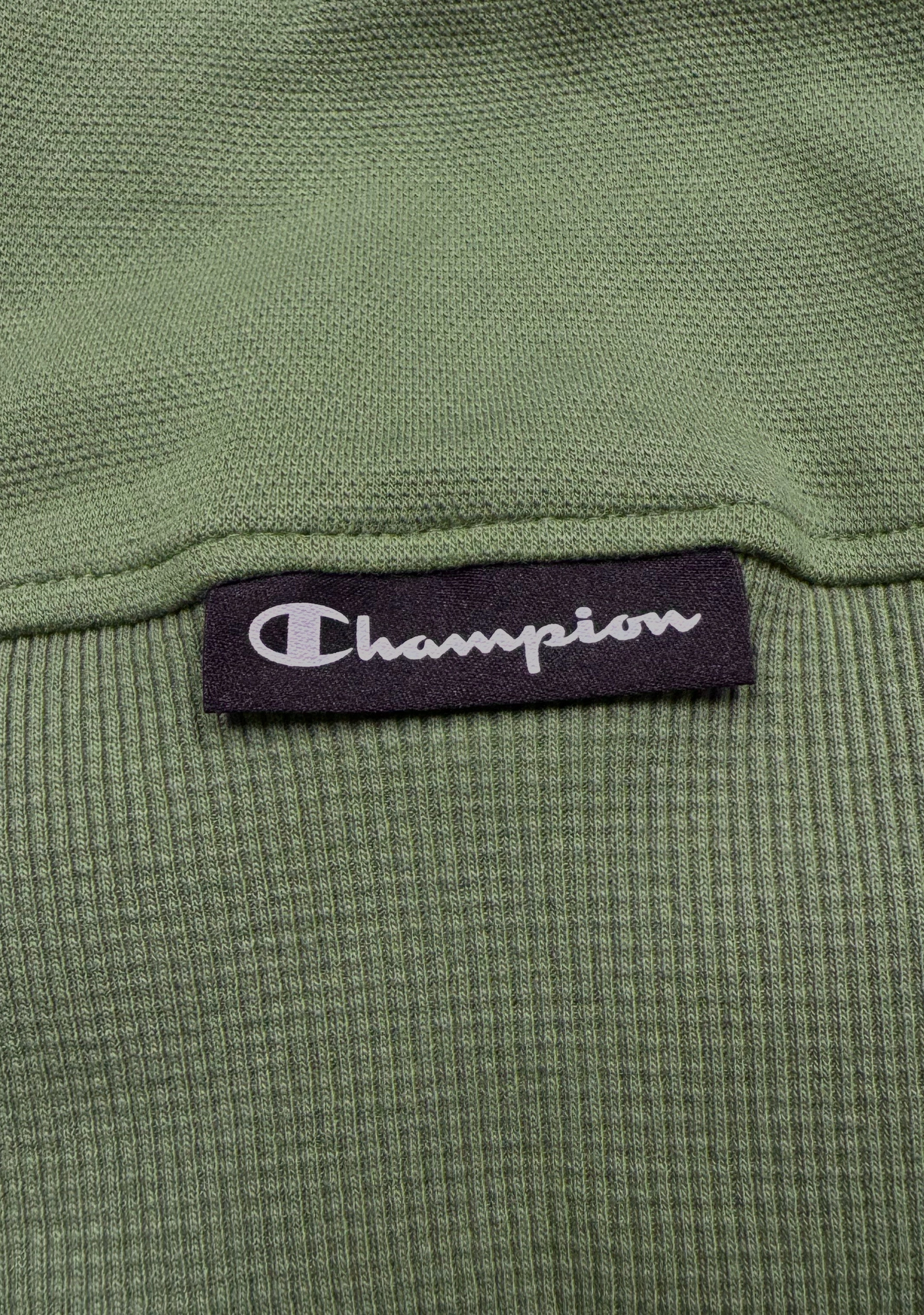 Champion Men's Rochester Graphic Hoodie