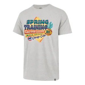 Chicago Cubs 2025 Spring Training '47 Grey Franklin T-Shirt