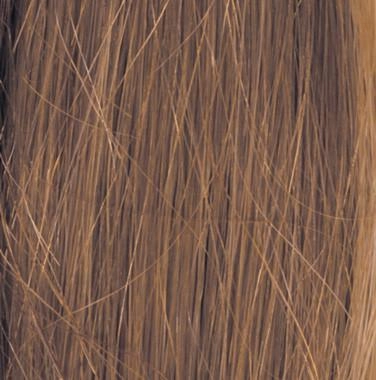 Headliner Wig by Raquel Welch | Human Hair (100% Hand-Knotted Lace Front Mono Top)