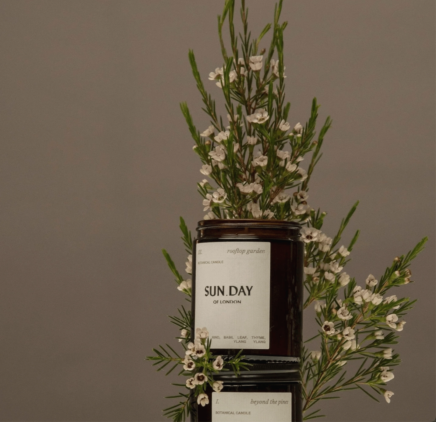 Luxury Vegan Candle | Beyond the Pines 180ml