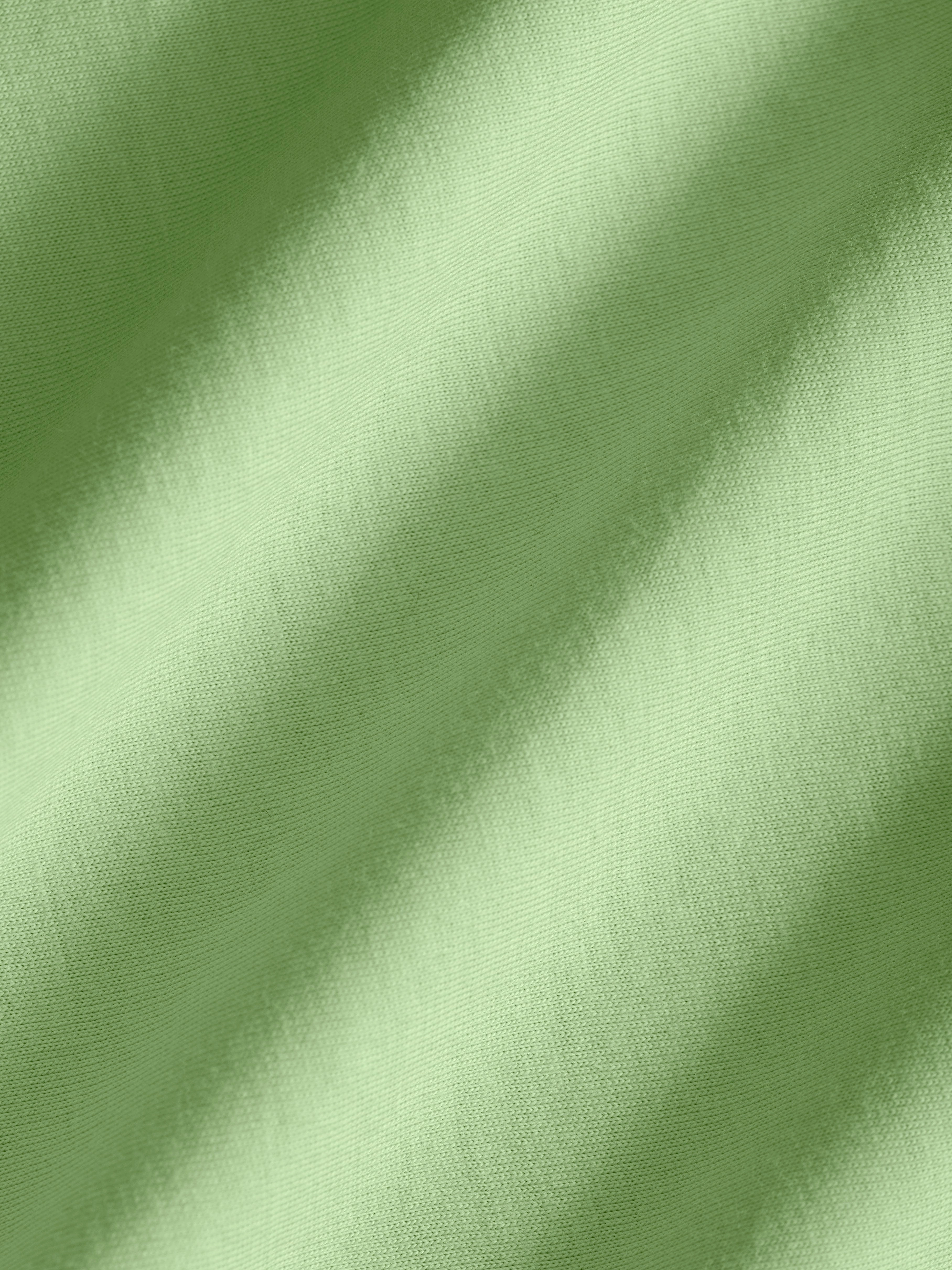Mens 365 Midweight T-shirt—fennel green