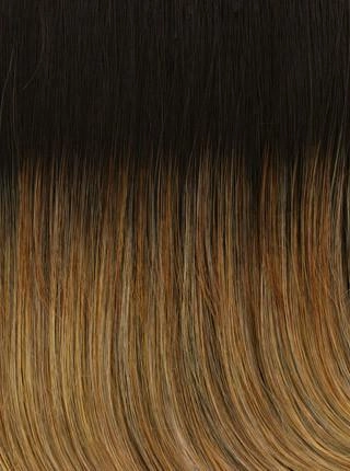 Show Stopper Wig by Raquel Welch | Heat Friendly Synthetic (Lace Front Mono Top)