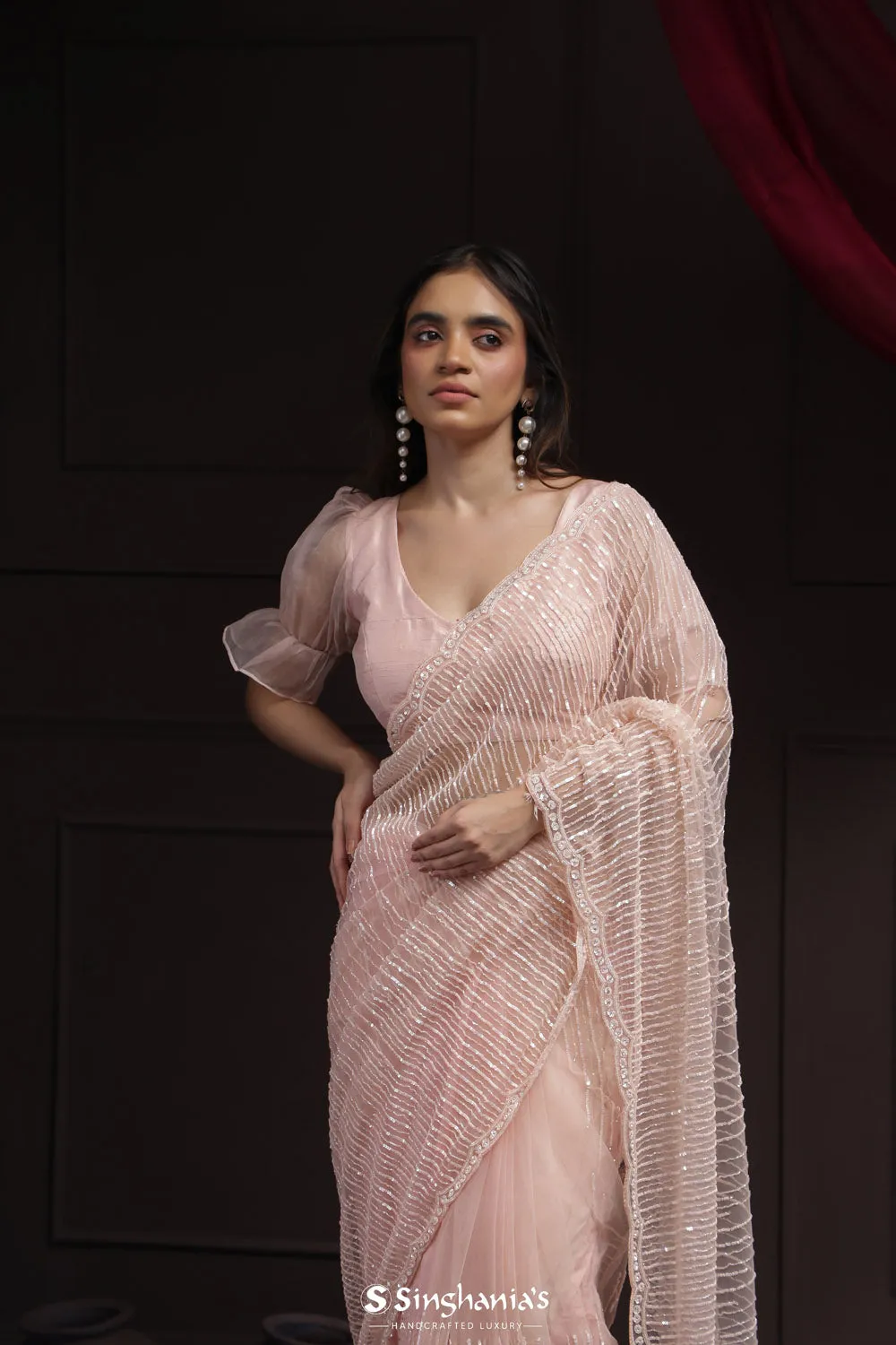 Silvery Pink Tissue Saree With Hand Embroidery