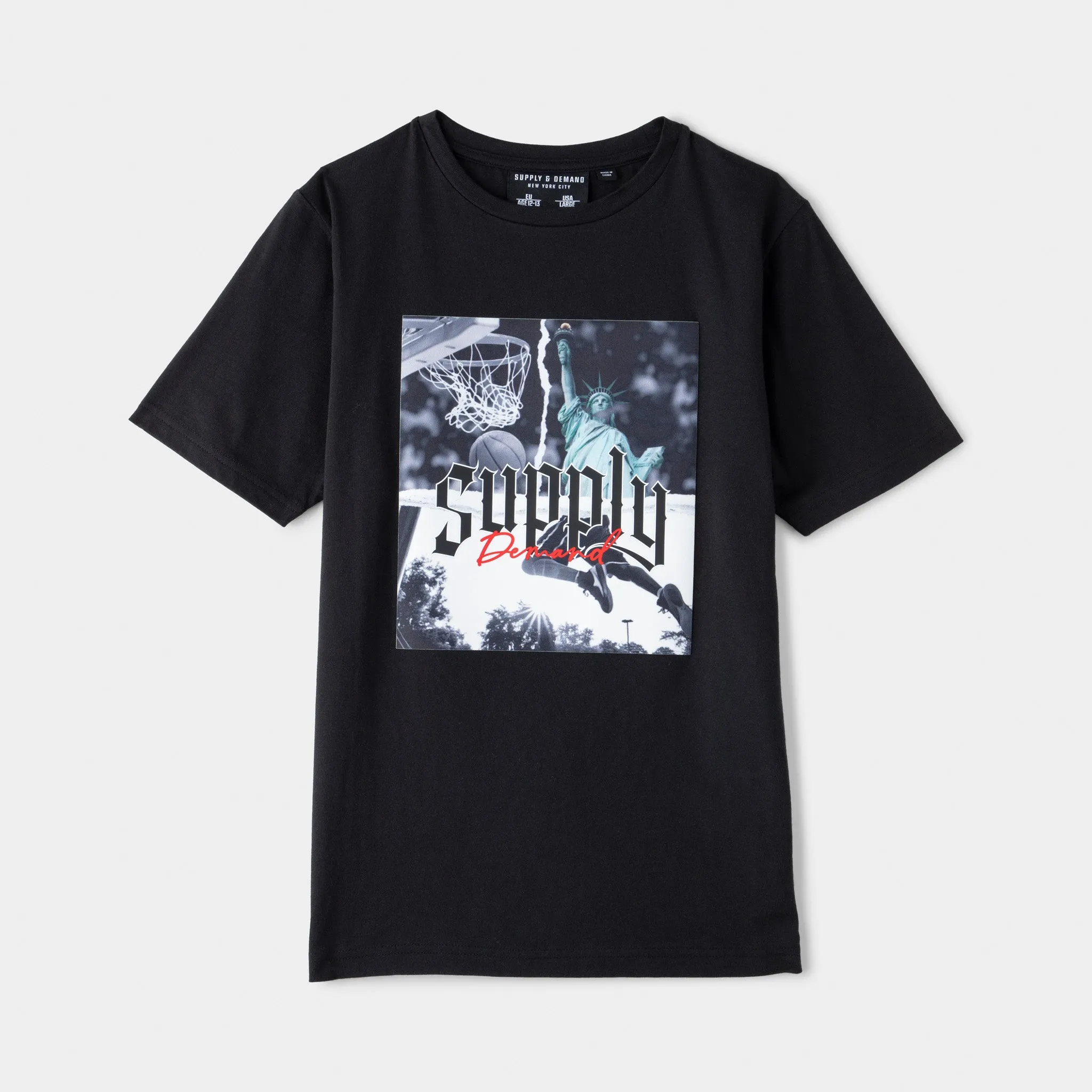 Supply & Demand Junior Boys' Elver T-shirt / Black