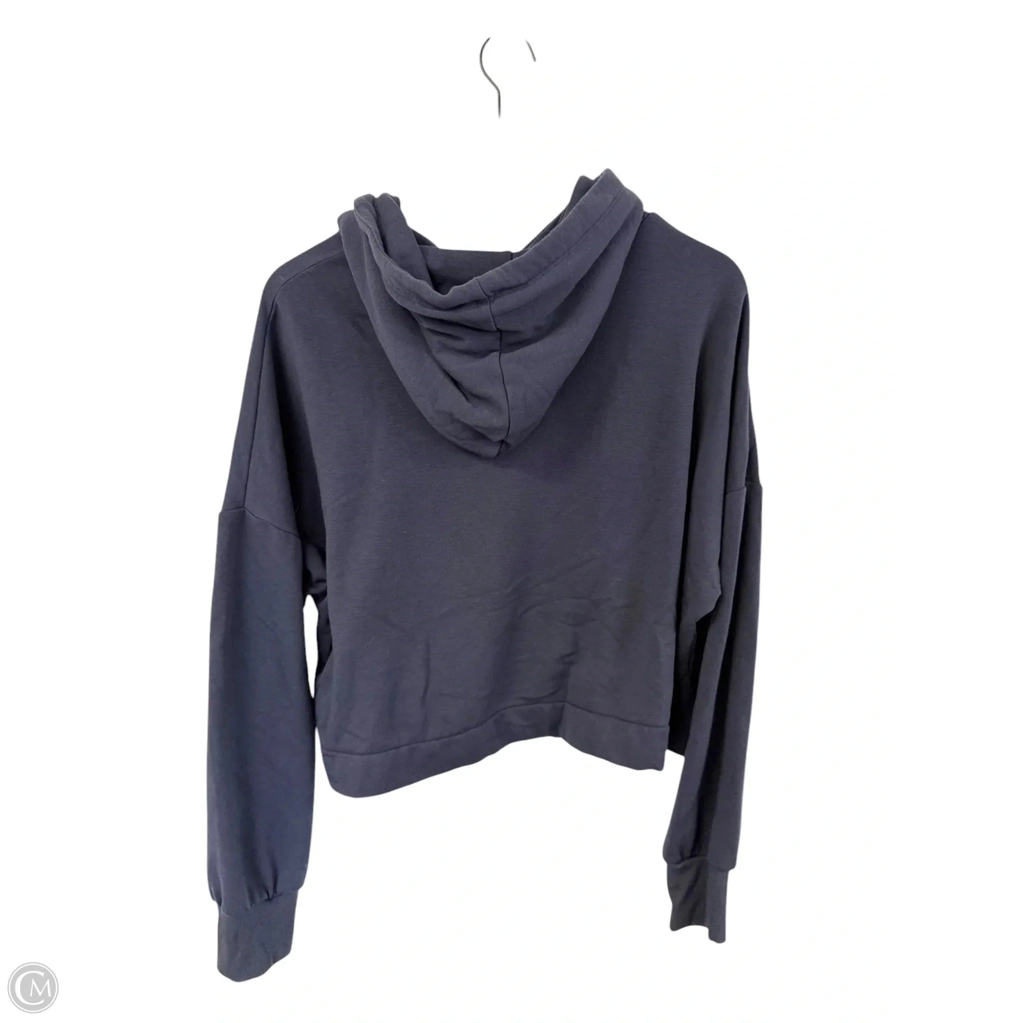 Sweatshirt Hoodie By Clothes Mentor In Blue, Size: L
