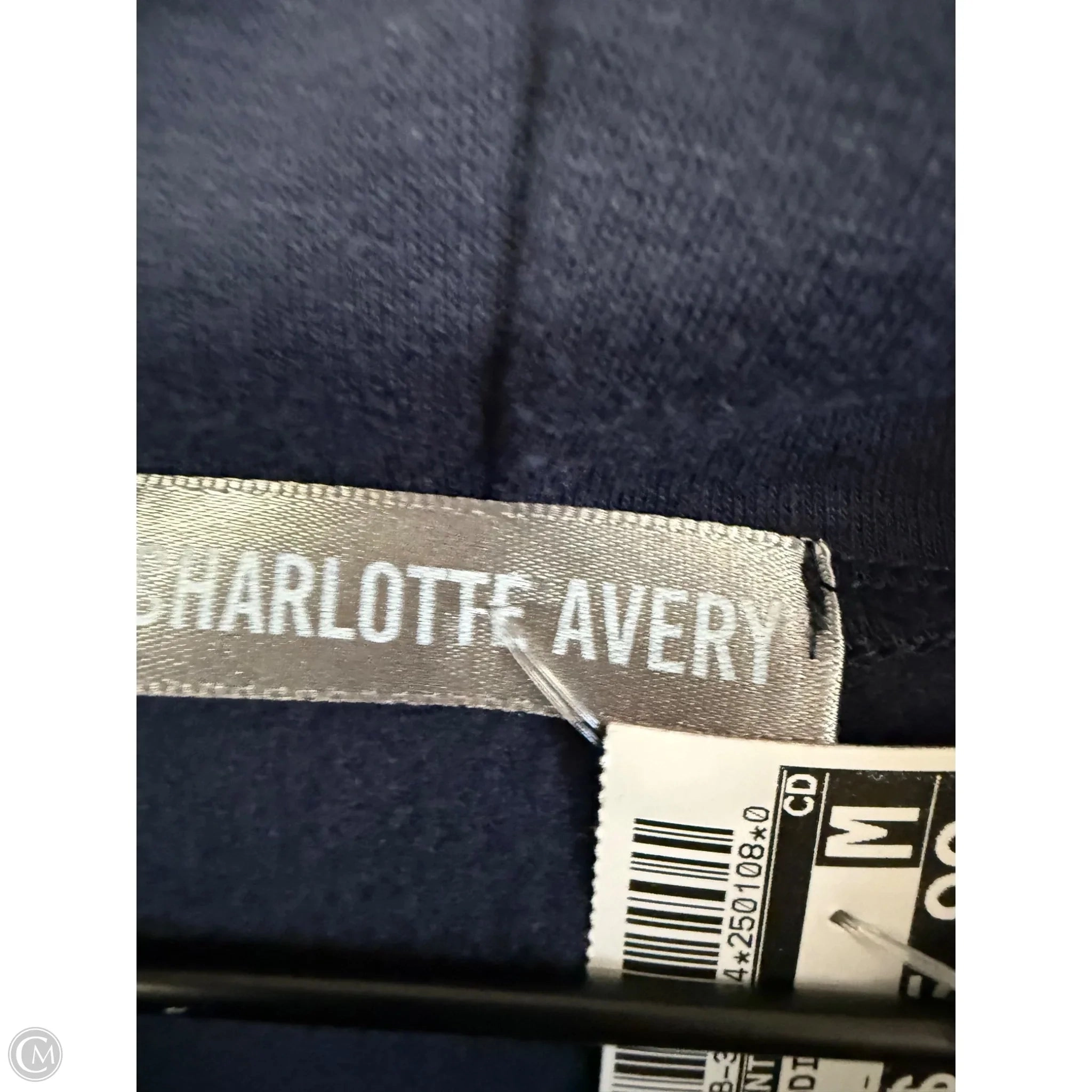 Sweatshirt Hoodie By Clothes Mentor In Blue, Size: L