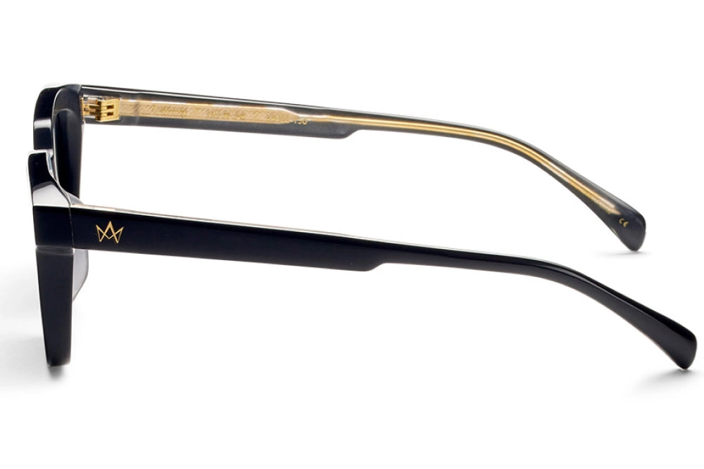 TOMMY LARGE POLARISED