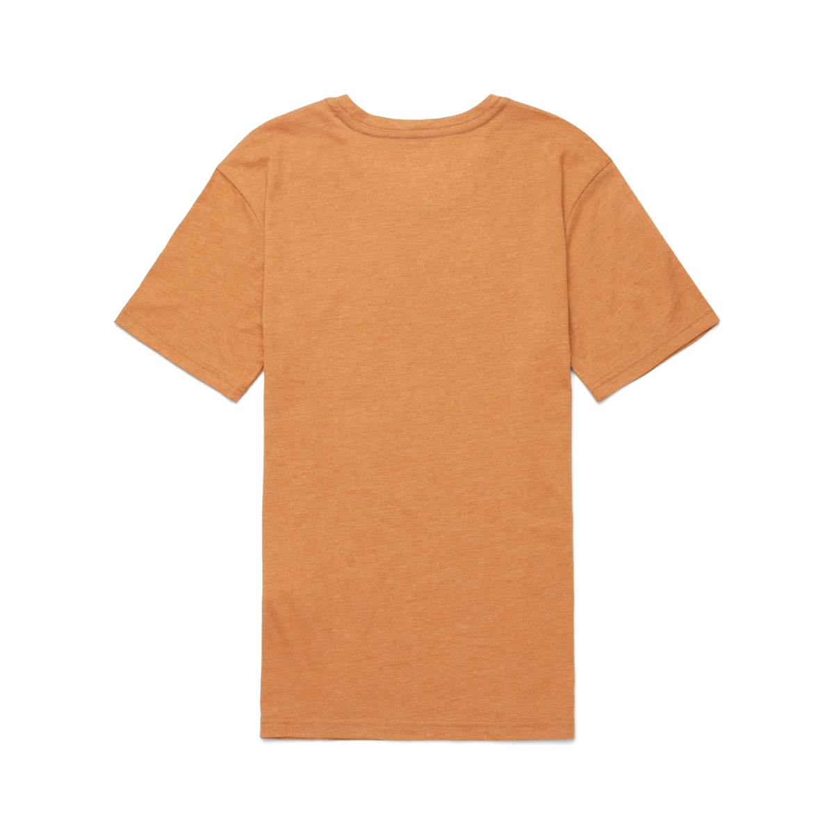 Traveling Llama T-Shirt - Women's