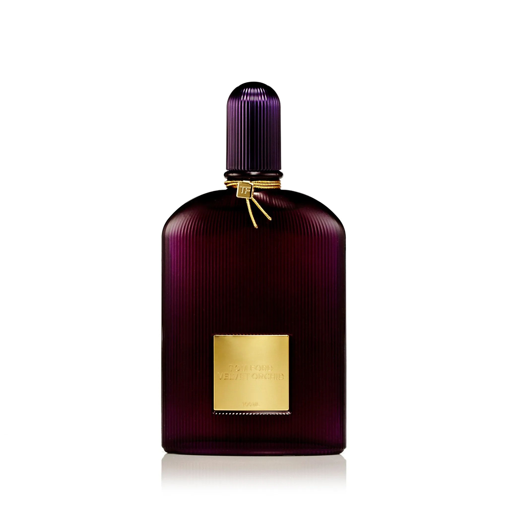 Velvet Orchid